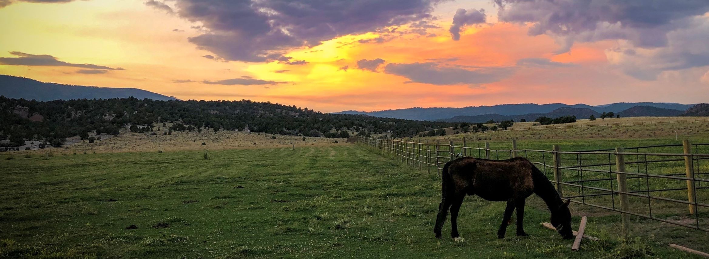 MVHR at Sunset