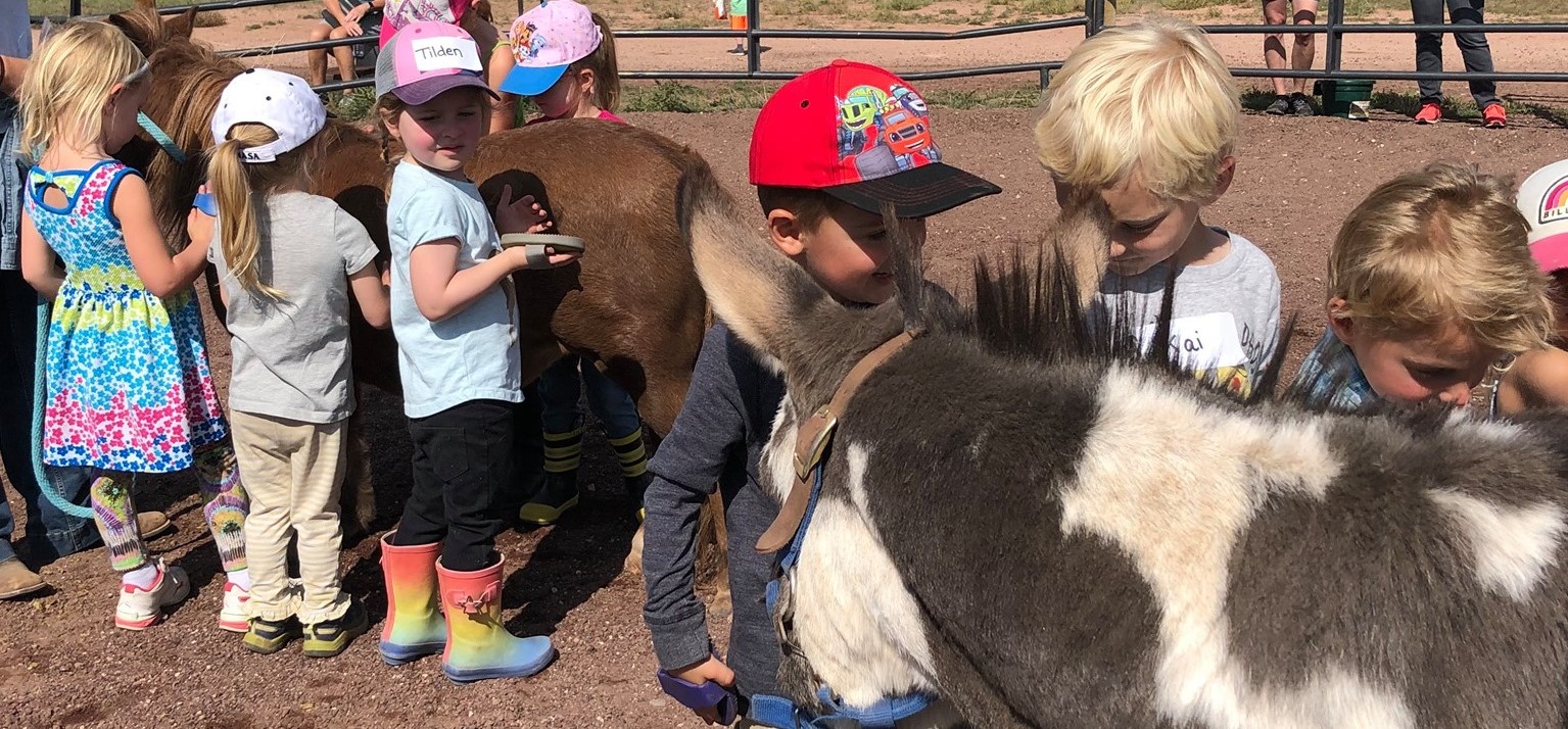 Kids and horses