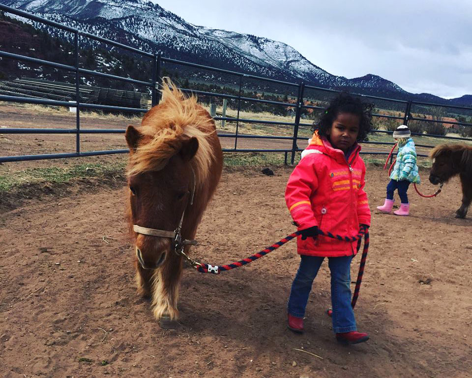 Mini Horse Heroes