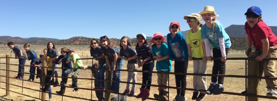 kids on fence