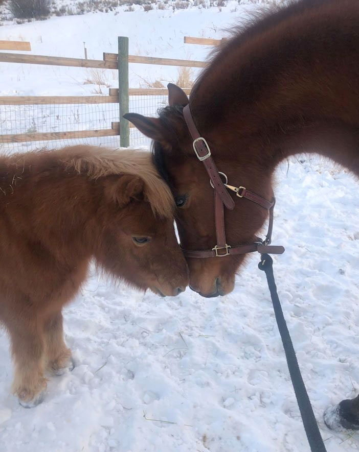 Stormy and his new friend