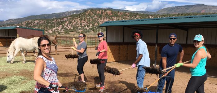 Volunteers shoveling