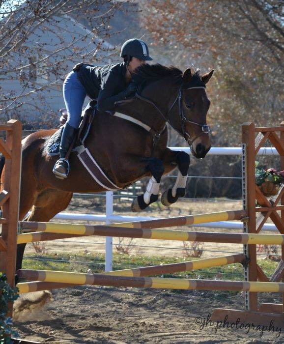 Rider jumping horse