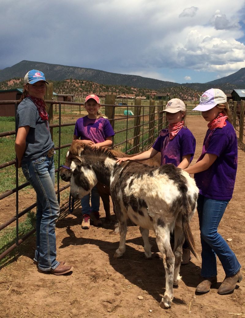 Kids at Summer Day Camp with miniature donkey