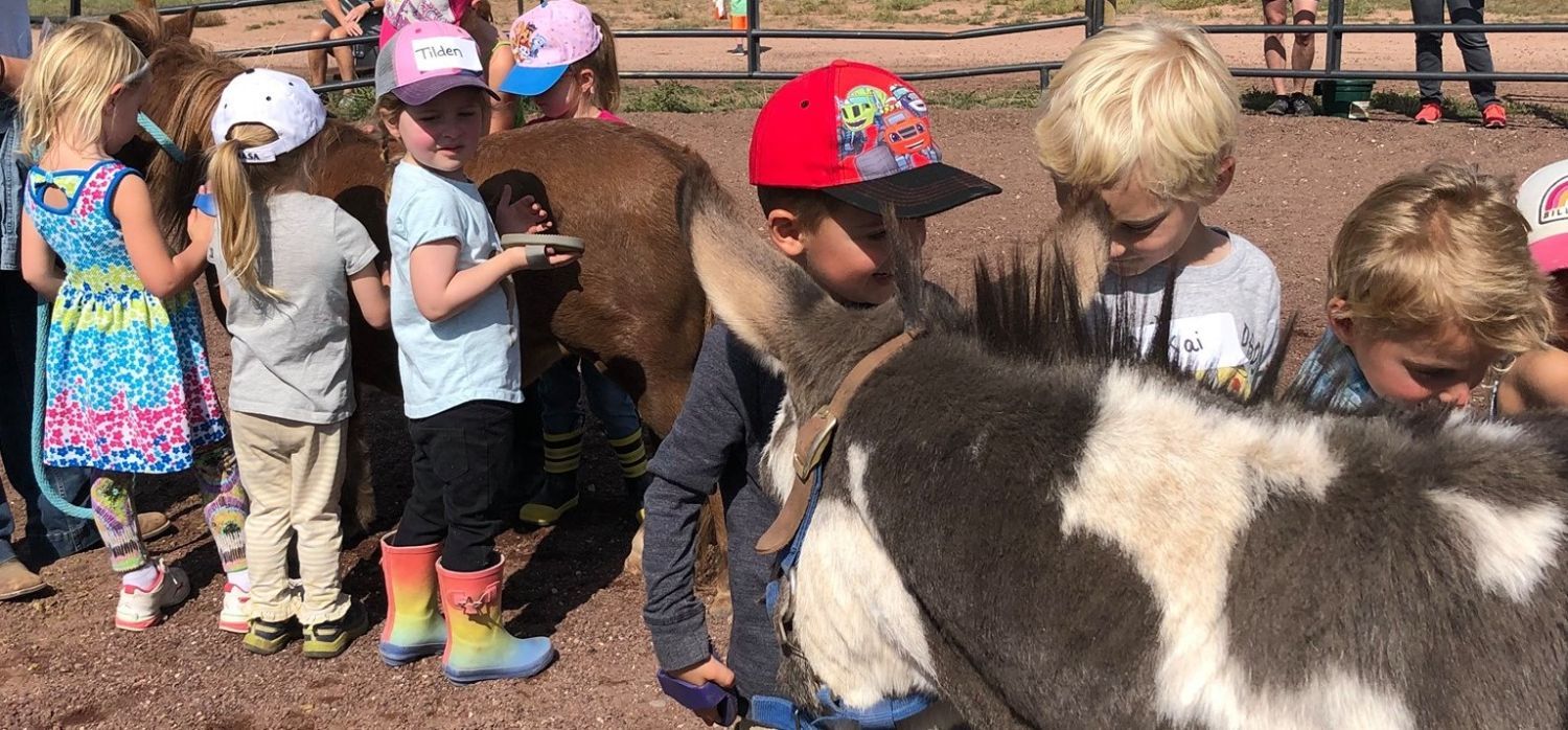 kids with miniature donkey