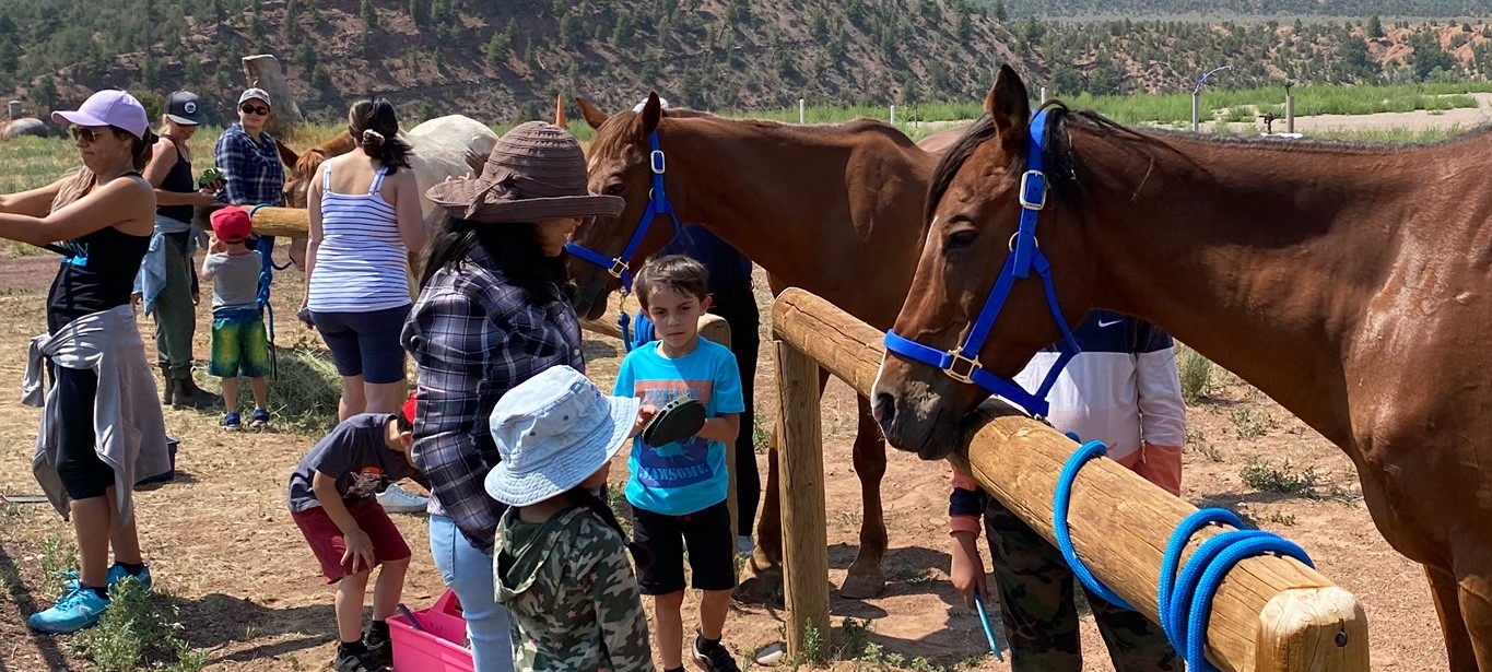 Adults, kids and horses at MVHR program